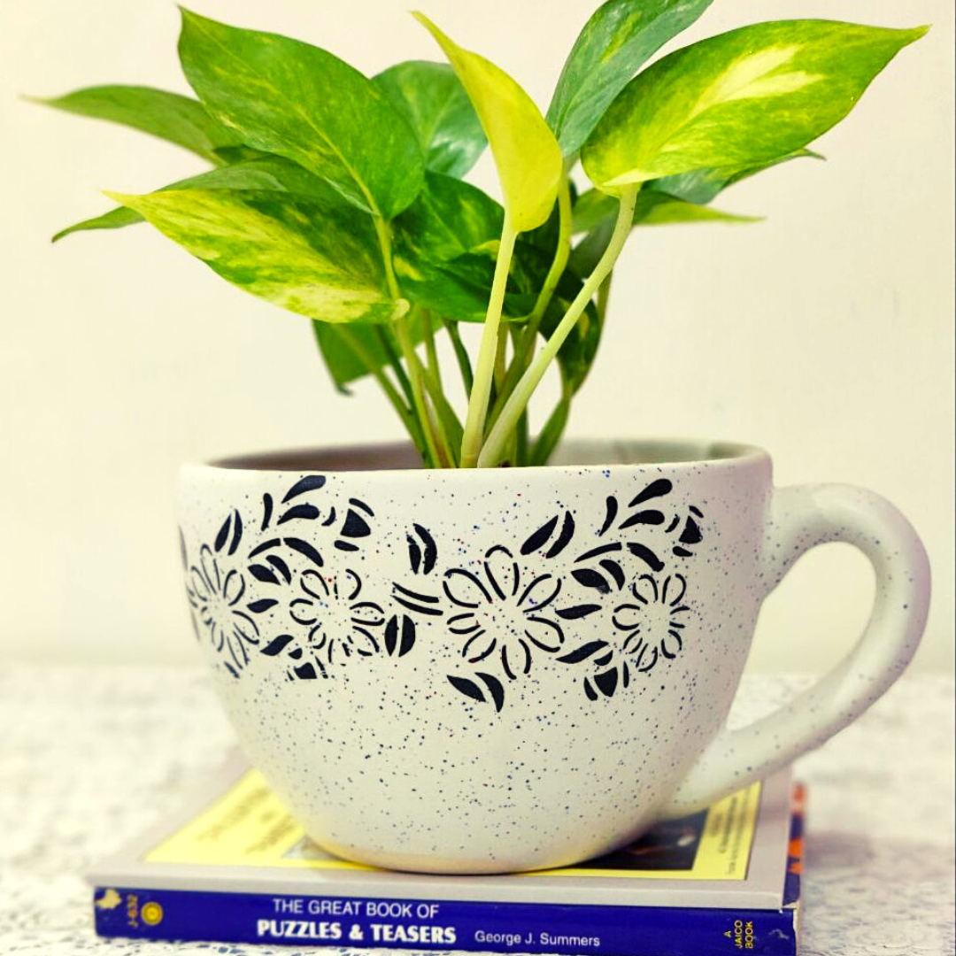 Ceramic cup design white color planter pot for Indoor & Outdoor Home, Garden, Office Decoration, Balcony Planters Pot Gamla. Pot Size: 20 cm wide & 11 cm high